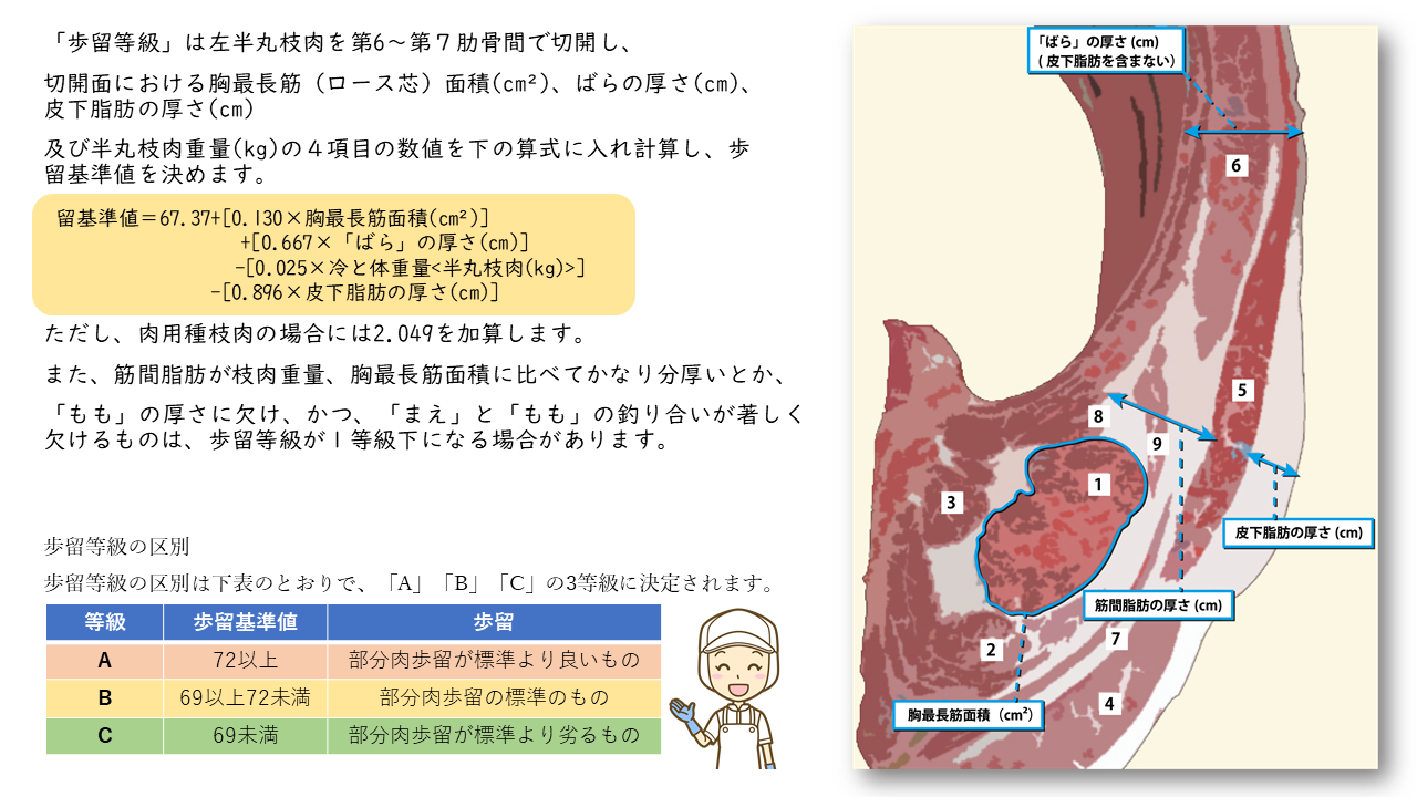 良品率等级